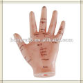 ISO mano humana modelo de acupuntura 13 cm HR-509, modelo de mano de acupuntura
